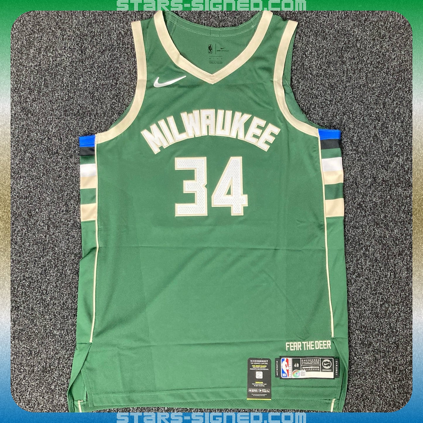 字母哥 Giannis Antetokounmpo 密爾沃基公鹿隊 Nike Icon Edition Authentic 球衣(背簽)