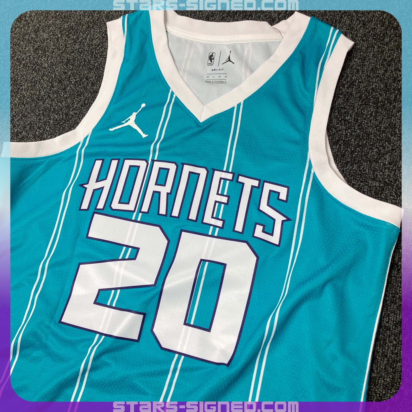 哥頓·希活 Gordon Hayward 夏洛特黃蜂隊 Jordan Brand Icon Edition Swingman 球衣(背簽)