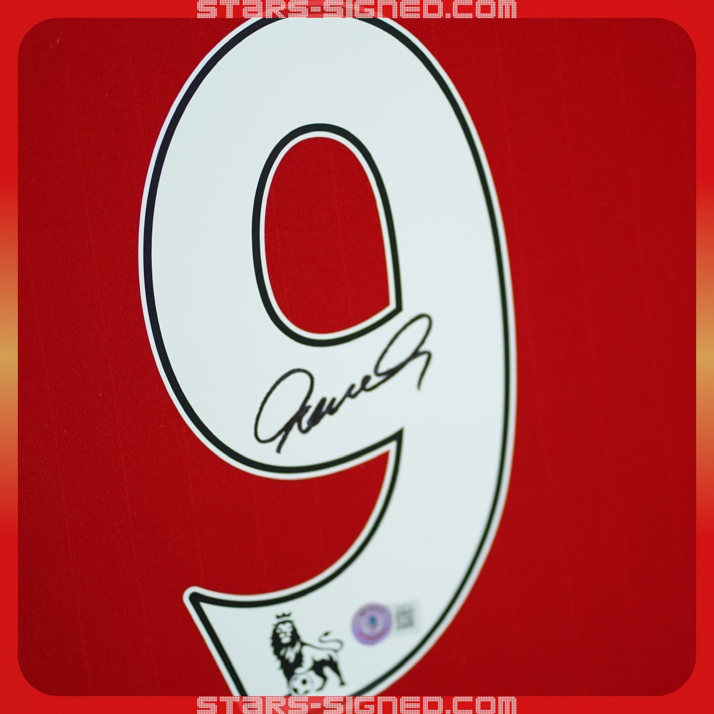 費蘭度·托利斯 Fernando Torres 利物浦 主場球衣裱框(背簽)
